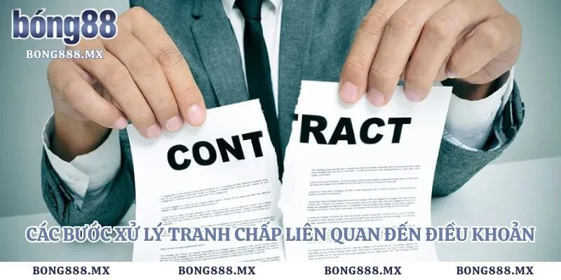 Các bước xử lý tranh chấp liên quan đến điều khoản