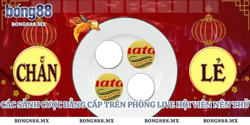 Các sảnh cược đẳng cấp trên phòng live hội viên nên thử