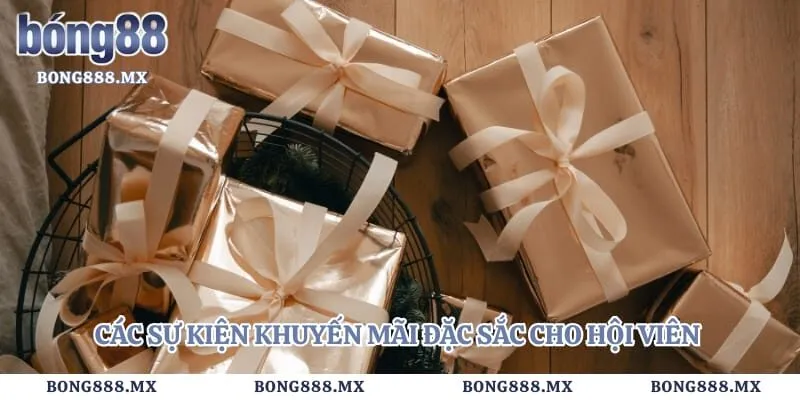 Các sự kiện khuyến mãi đặc sắc cho hội viên thuộc nhà cái