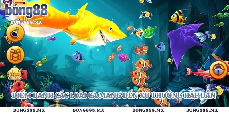 Điểm danh các loài cá mang đến xu thưởng hấp dẫn cho bạn
