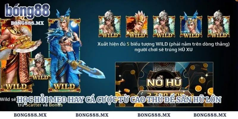 Học hỏi mẹo hay cá cược từ cao thủ để săn hũ lớn dễ dàng