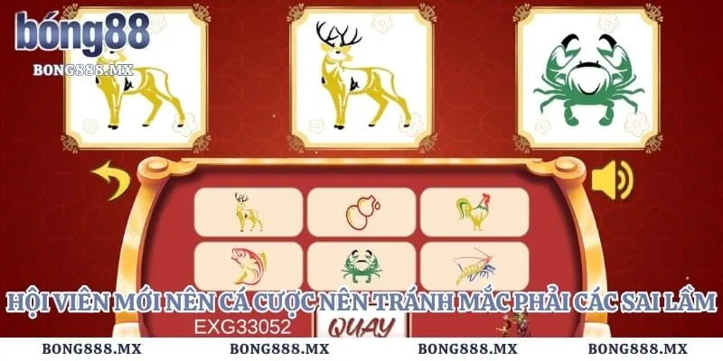 Hội viên mới nên cá cược nên tránh mắc phải các sai lầm 