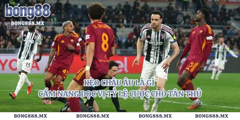 Kèo Châu Âu Là Gì – Cẩm Nang Đọc Vị Tỷ Lệ Cược Cho Tân Thủ
