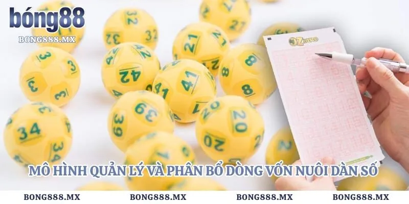 Chơi Dàn Đề Có Lãi – Bí Quyết Lập Bảng Số Tối Ưu Dòng Tiền 5 Mô hình quản lý và phân bổ dòng vốn nuôi dàn số theo chu kỳ khoa học