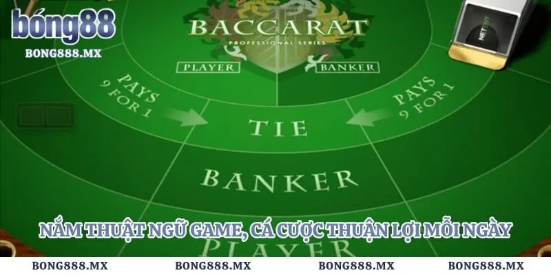 Nắm thuật ngữ game, cá cược thuận lợi mỗi ngày
