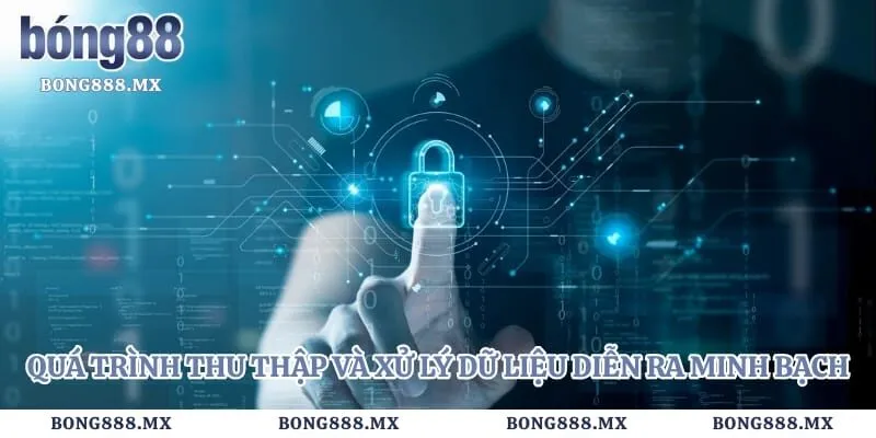 Quá trình thu thập và xử lý dữ liệu diễn ra minh bạch